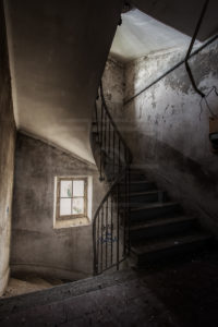 Birds house - Escalier