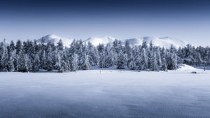 Frontière - Plateau du Guery