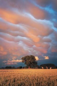 Mammatus - Auvergne