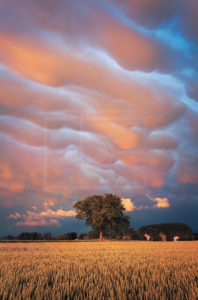 Mammatus - Auvergne