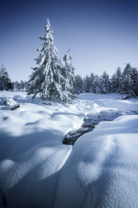 Plateau du Guery