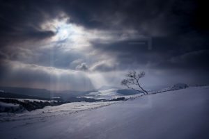 Paysages Éphémères - "Quietude" - Col de la Croix Morand