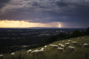 Ambiance crépusculaire en Allier - 27 Juin 2020