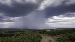 Beaujolais - 09 Aout 2019