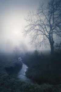 Ambiance dans le Forez en Auvergne