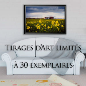 tirages d'art